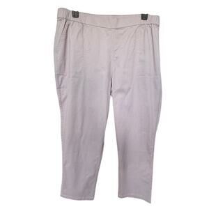 New d& co. Women's Liliac Straight Leg Pull On Pants Size 1X